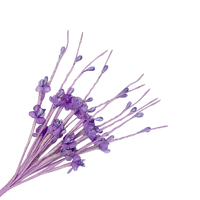 SPECIAL/Stamen 8 [Colour: Lilac]