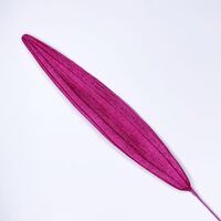 SPECIAL/Single Velvet Leaf [Colour: Fuchsia]