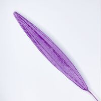 SPECIAL/Single Velvet Leaf [Colour: Light Purple]