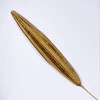 SPECIAL/Single Velvet Leaf [Colour: Gold]