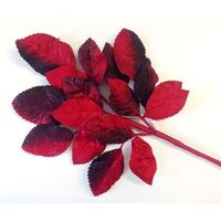 SPECIAL/Velvet Leaf Stem/127  [Colour: Red]