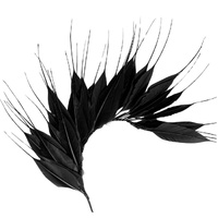 Feather Mount/Style 1 [Colour: Black]