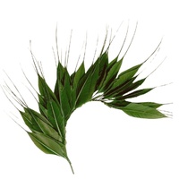 Feather Mount/Style 1 [Colour: Olive]