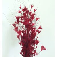 SPECIAL/Feather Tree/Style 3 [Colour: Burgundy]