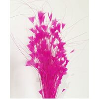 SPECIAL/Feather Tree/Style 3 [Colour: Hot Pink]