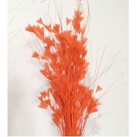 SPECIAL/Feather Tree/Style 3 [Colour: Orange]