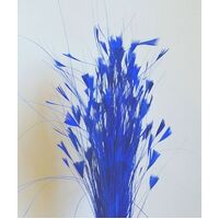 SPECIAL/Feather Tree/Style 3 [Colour: Royal]