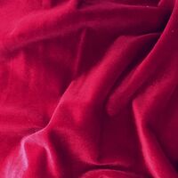 SPECIAL/Velvet Stretch Fabric [Cololur : Red]